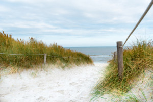 Bilder Tragetasche - Auf In Den Sommer oder mit Eigenem Foto