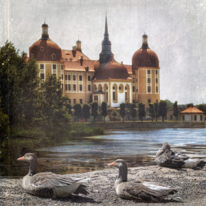 Wunschbild auf Tragetasche - Die Gänse Von Moritzburg oder mit Eige...