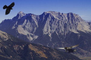 Bild Tragetasche - Zugspitze Mit Bergdohlen oder mit Eigenem Foto