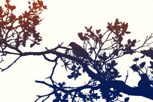 Wunschbild Tragetasche - Vogel Auf Dem Ast oder mit Eigenem Foto