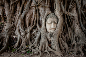 Tragetasche - Buddha In Ayutthaya oder mit Eigenem Foto