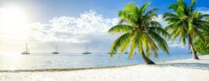 Bilder Tragetasche - Strand Panorama In Der Karibik oder mit Eigene...