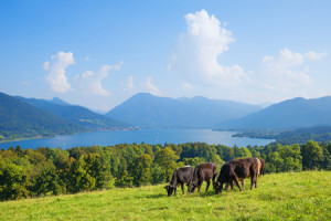 Motiv auf Tragetasche - Hainznhoehe Am Tegernsee oder mit Eigenem Foto