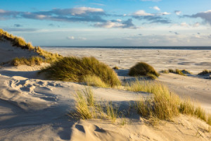 Wunschbild als Tragetasche - Dünen oder mit Eigenem Foto