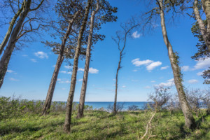 Wunschmotiv auf Tragetasche - Steilküste oder mit Eigenem Foto