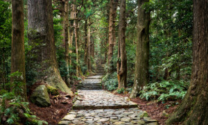Bild Tragetasche - Kumano Kodo Daimon-Zaka In Japan oder mit Eigene...