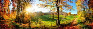 Wunschbild auf Tragetasche - Zauberhafte Landschaft Im Herbst oder ...