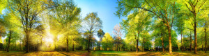 Foto auf Tragetasche - Gorgeous Panoramic Spring Scenery With Sunli...