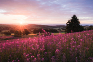 Wunschmotiv auf Tragetasche - Sonnenaufgang In Der Rhön oder mit Ei...