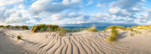 Motiv Tragetasche - Wanderdüne Mit Strandhafer Auf Sylt oder mit Ei...