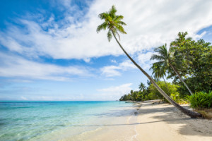 Wunschbild Tragetasche - Palmenstrand Am Meer oder mit Eigenem Foto