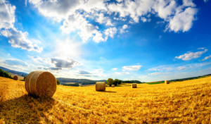Tragetasche - Sommer Am Land oder mit Eigenem Foto