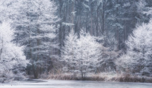 Wunschmotiv als Tragetasche - Frost Am See oder mit Eigenem Foto