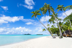 Bilder Tragetasche - Sommerurlaub Am Palmenstrand oder mit Eigenem ...