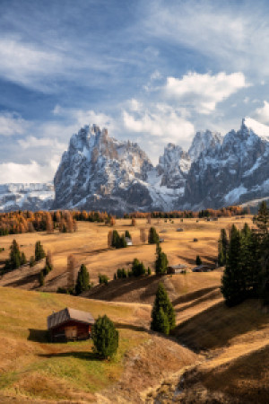 Motiv als Tragetasche - Herbst Auf Der Seiser Alm Südtirol oder mit...