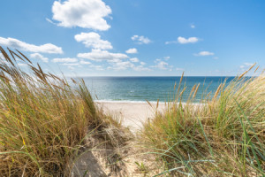Motiv Tragetasche - Dünengras Am Meer oder mit Eigenem Foto