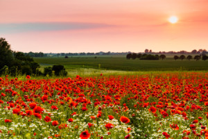 Wunschbild auf Tragetasche - Sommerabend oder mit Eigenem Foto