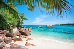 Wunschbild als Tragetasche - Anse Lazio Auf Den Seychellen oder mit...