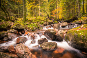 Wunschbild als Tragetasche - Bachlauf Mit Wasserfall oder mit Eigen...
