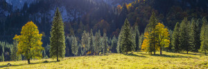 Tragetasche - Herbst Im Ostallgäu oder mit Eigenem Foto
