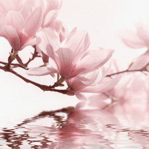 Wunschmotiv auf Tragetasche - Magnolie oder mit Eigenem Foto