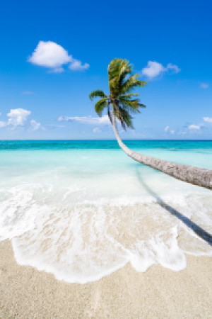 Wunschbild Tragetasche - Urlaub Am Palmenstrand oder mit Eigenem Foto