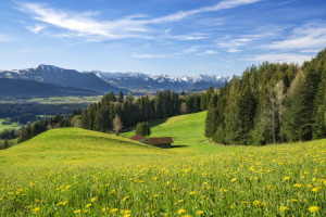 Wunschmotiv als Tragetasche - Frühling In Den Allgäuer Alpen oder m...