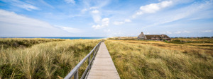 Bild Tragetasche - Dünenlandschaft Auf Sylt Bei Kampen oder mit Eig...