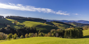 Wunschbild Tragetasche - Landschaft Bei Sankt Peter Im Schwarzwald ...