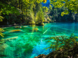 Motiv Tragetasche - Magic Blue oder mit Eigenem Foto