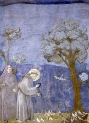 Wunschbild als Tragetasche - St Francis Preaches To Birds Fresco C1...