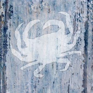 Wunschmotiv auf Türfolie - Sealife Crab oder mit Eigenem Foto