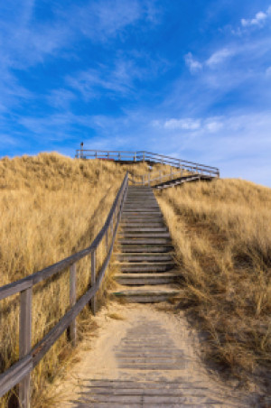 Wunschmotiv Türfolie - Aussichtsdüne Insel Amrum oder mit Eigenem F...