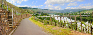 Foto Türfolie - An Der Mosel oder mit Eigenem Foto