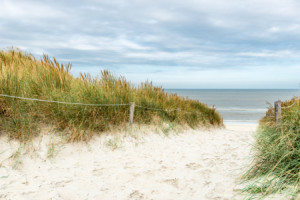 Motiv auf Türfolie - Hinter Den Dünen Ist Das Meer oder mit Eigenem...