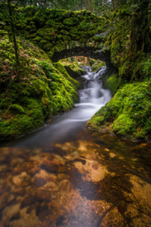 Wunschbild als Türfolie - Mystical Bridge oder mit Eigenem Foto
