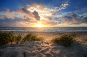 Motiv Türfolie - Ostsee Weststrand oder mit Eigenem Foto