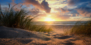 Wunschmotiv auf Türfolie - Ostsee Weststrand oder mit Eigenem Foto