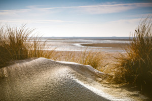 Motiv auf Türfolie - Dünen Im Frühjahr Auf Der Nordseeinsel Föhr od...