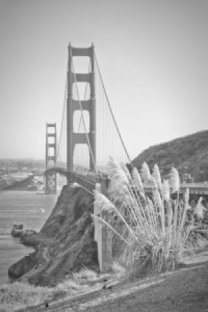 Motiv auf Türfolie - San Francisco Golden Gate Bridge oder mit Eige...