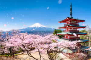 Foto Türfolie - Berg Fuji Und Chureito Pagode In Japan oder mit Eig...