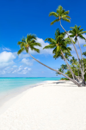 Wunschbild als Türfolie - Strandurlaub In Den Tropen oder mit Eigen...