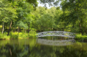 Wunschbild als Türfolie - Brücke oder mit Eigenem Foto