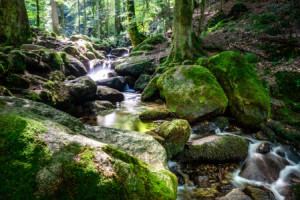 Wunschmotiv auf Türfolie - Abkühlung oder mit Eigenem Foto