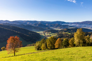Motiv Türfolie - Landschaft Bei Sankt Peter Im Schwarzwald oder mit...