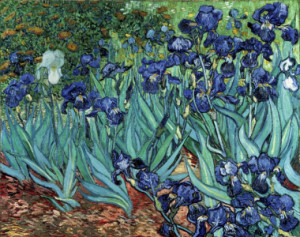 Türfolie - Van Gogh Irises 1889 oder mit Eigenem Foto