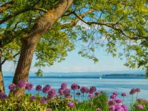 Foto auf Untersetzer - Seepromenade Überlingen Im Frühling oder mit...