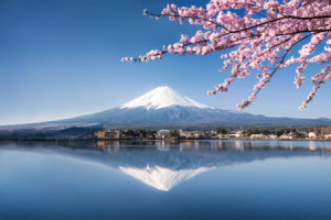 Foto Untersetzer - Fuji In Japan Zur Kirschblüte oder mit Eigenem F...