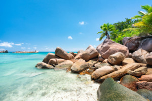 Motiv auf Untersetzer - Türkisblaues Meer Auf Den Seychellen oder m...