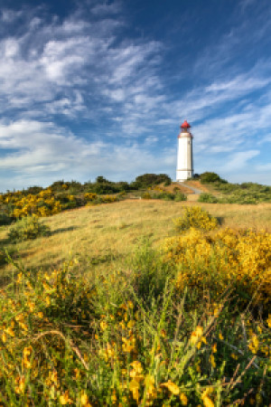 Foto auf Untersetzer - Leuchtturm Auf Der Ostsee Insel Hiddensee od...